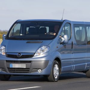 vivaro1